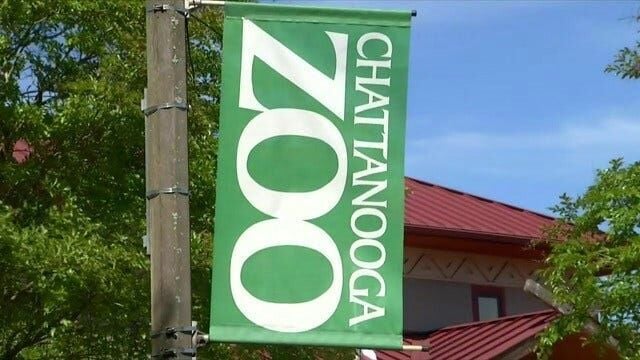 Chattanooga Zoo prepares for potential avian flu